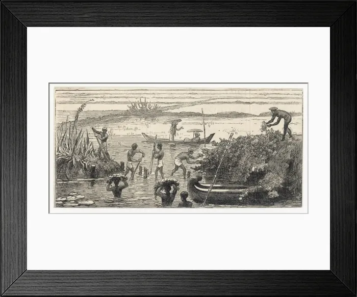 Framed Print : Food and Drink / Rice Framed Print : Food and Drink / Rice