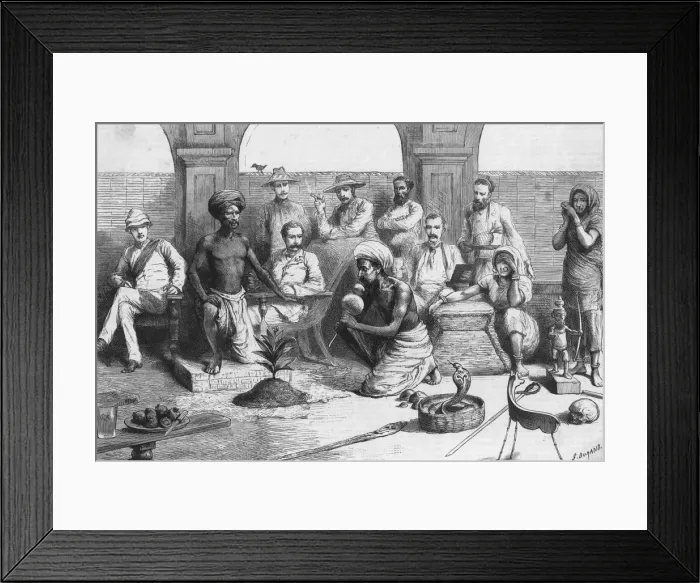 Framed Print : Indian Mango Tree Trick Framed Print : Indian Mango Tree Trick