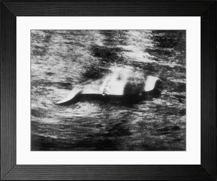 Framed Print : Photograph of the Loch Ness Monster Framed Print : Photograph of the Loch Ness Monster