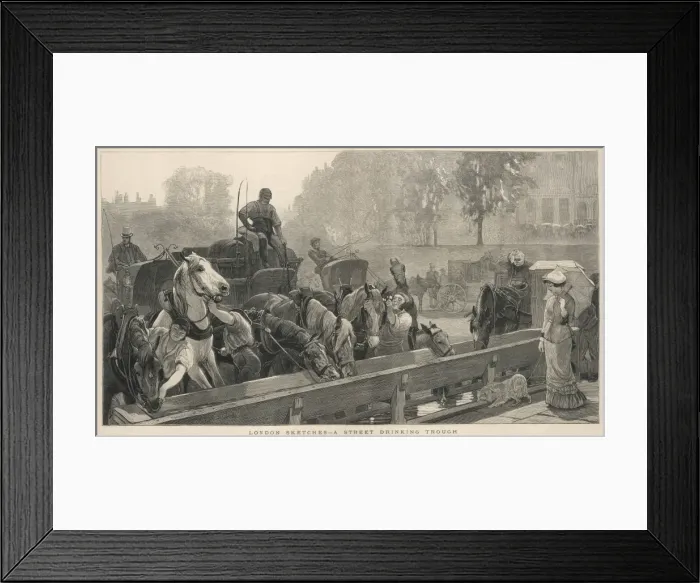 Framed Print : Working horses drinking at a trough, London Framed Print : Working horses drinking at a trough, London