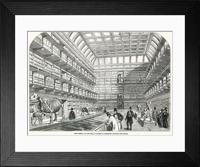 Framed Print : Interior of the new museum, Royal College of Surgeons, located at Lincoln's Inn Fields in London. Date: 1854 Framed Print : Interior of the new museum, Royal College of Surgeons, located at Lincoln's Inn Fields in London. Date: 1854