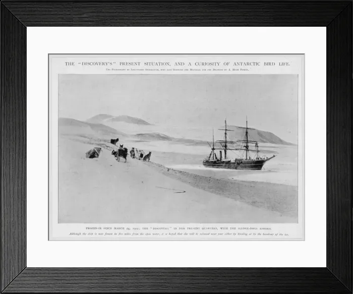 Framed Print : Events / Exploration / Polar Framed Print : Events / Exploration / Polar