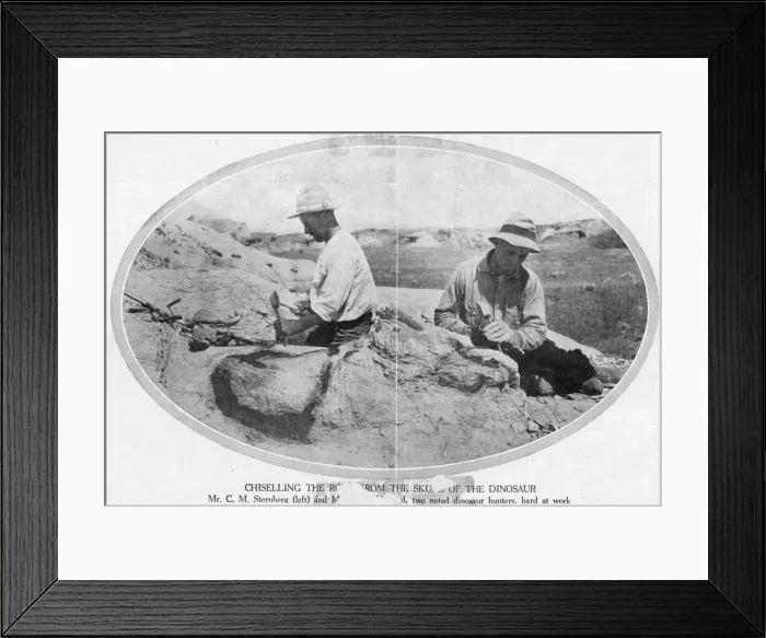 Framed Print : Fossils / Palaeontologists Framed Print : Fossils / Palaeontologists