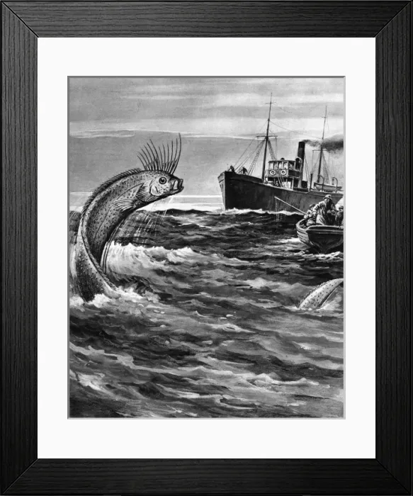 Framed Print : Folklore / Sea Serpent Framed Print : Folklore / Sea Serpent
