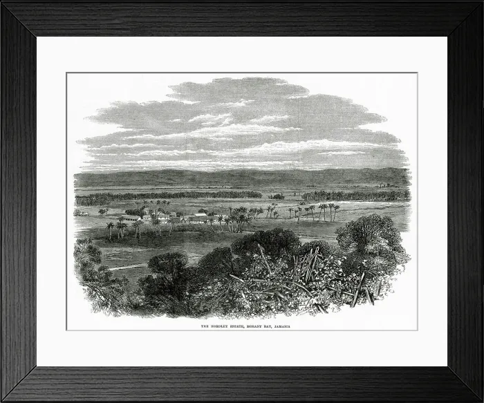 Framed Print : MORANT BAY The Hordley Estate. Date: 1865 Framed Print : MORANT BAY The Hordley Estate. Date: 1865