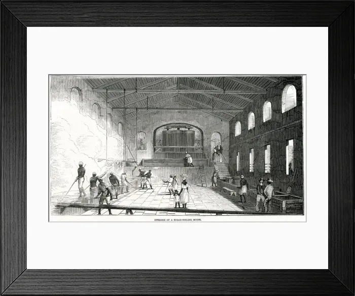Framed Print : Cultivation in the West Indies 1849 Framed Print : Cultivation in the West Indies 1849
