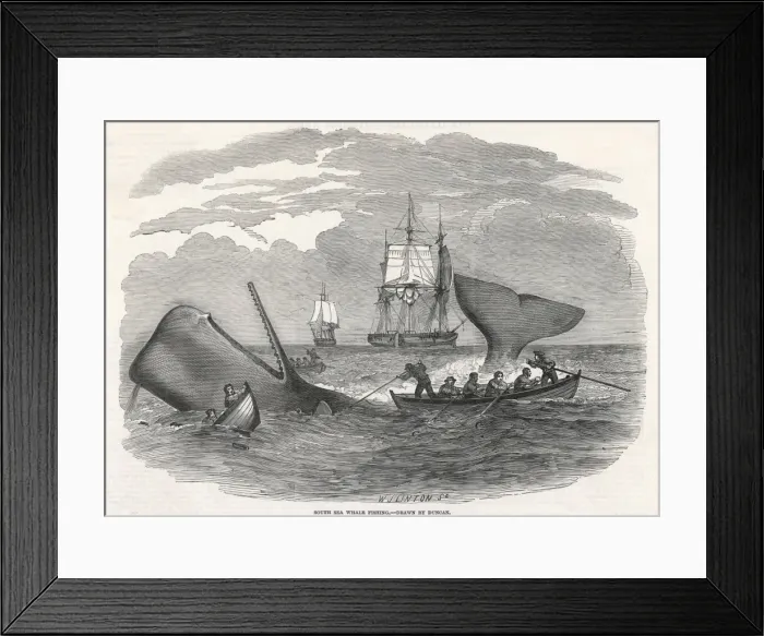 Framed Print : Whaling  /  South Seas 1847