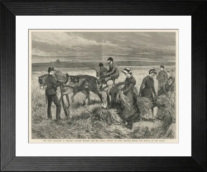 Framed Print : BOYCOTT HARVESTS CROPS Framed Print : BOYCOTT HARVESTS CROPS