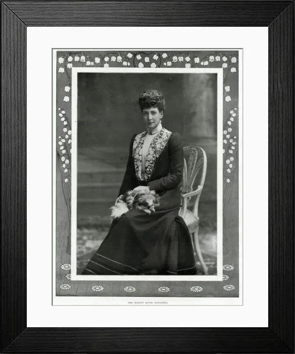 Framed Print : Alexandras dog Japanese Chin Framed Print : Alexandras dog Japanese Chin