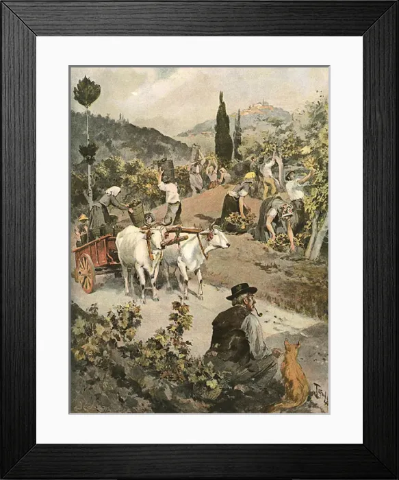 Framed Print : Italian Vintage