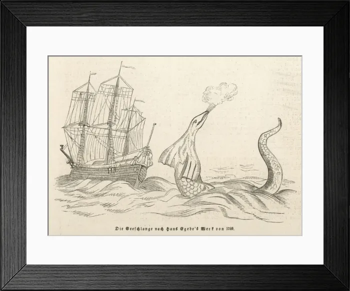 Framed Print : Sea Serpent Greenland Framed Print : Sea Serpent Greenland