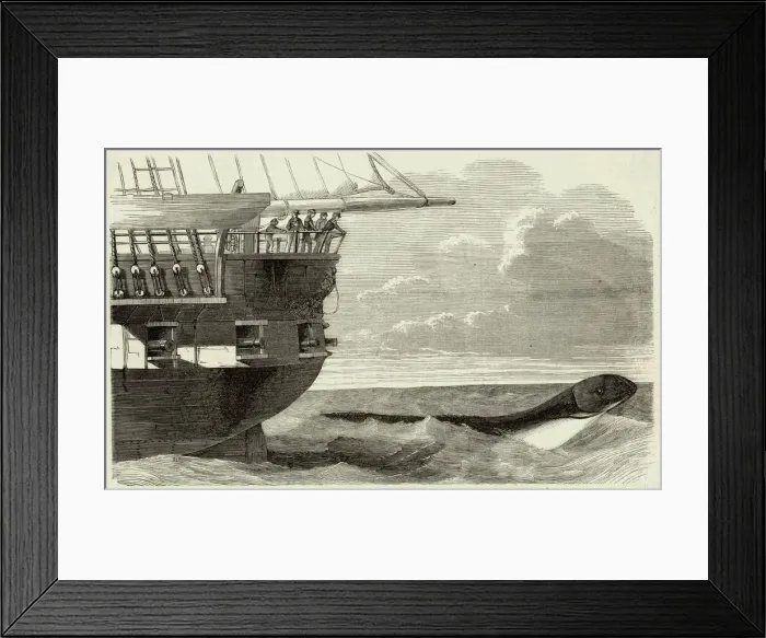 Framed Print : Daedalus Sea Serpent Framed Print : Daedalus Sea Serpent
