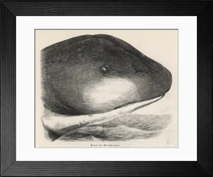 Framed Print : Daedalus Sea Serpent Framed Print : Daedalus Sea Serpent