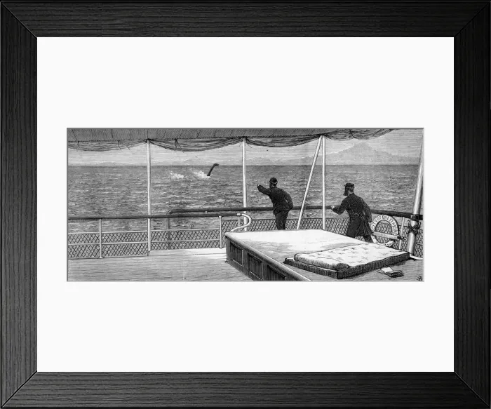 Framed Print : ADEN GULF SERPENT Framed Print : ADEN GULF SERPENT