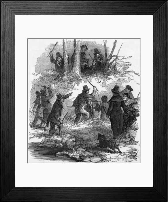 Framed Print : Hunting the wren Framed Print : Hunting the wren
