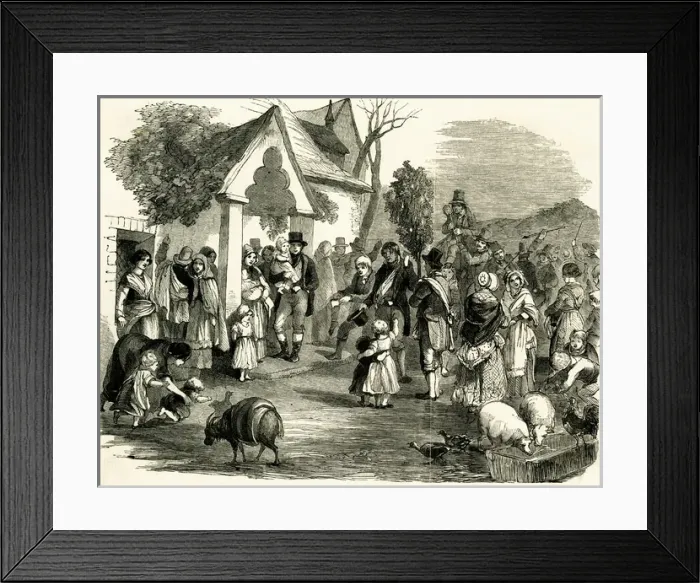 Framed Print : Hunting the wren Framed Print : Hunting the wren