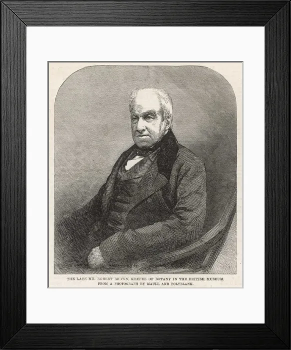 Framed Print : Robert Brown Framed Print : Robert Brown