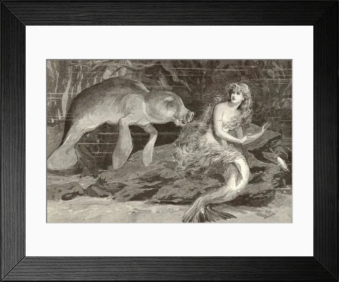Framed Print : Mer-People / Look-Alikes Framed Print : Mer-People / Look-Alikes