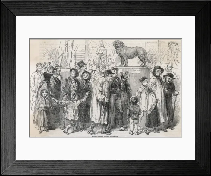 Framed Print : Country Visitors Framed Print : Country Visitors