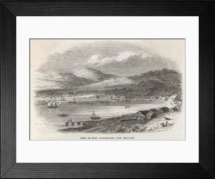 Framed Print : New Zealand  /  Wellington