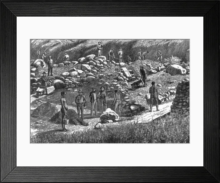 Framed Print : Gold in Transvaal