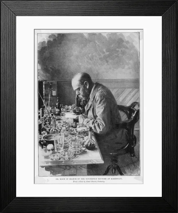 Framed Print : ROBERT KOCH / IN KIMBERLEY Framed Print : ROBERT KOCH / IN KIMBERLEY