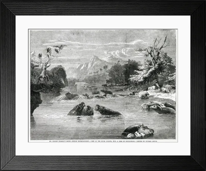 Framed Print : Limpopo River, Mozambique, south-east Africa Date: 1856 Framed Print : Limpopo River, Mozambique, south-east Africa Date: 1856