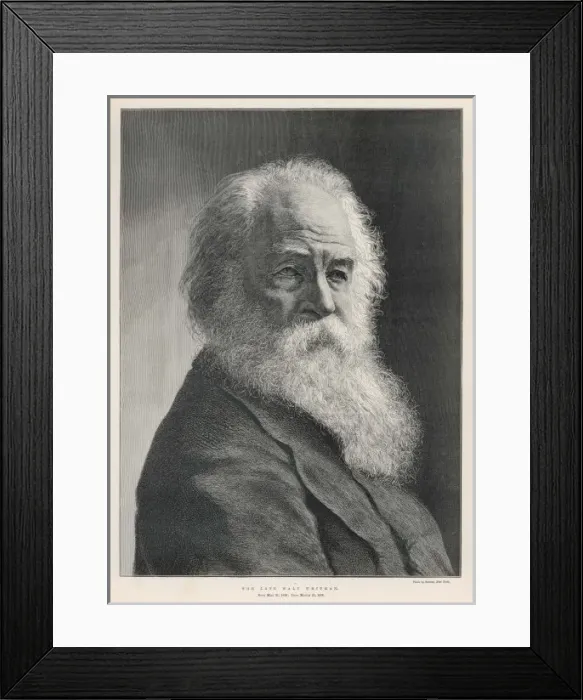 Framed Print : Walt Whitman Framed Print : Walt Whitman