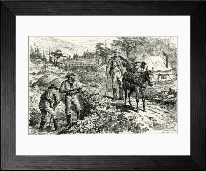 Framed Print : GOLD PROSPECTOR  /  COLORADO