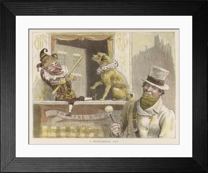 Framed Print : Punch with Toby the Dog Framed Print : Punch with Toby the Dog