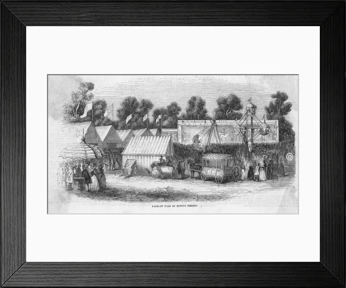 Framed Print : FAIRS / EPPING FOREST Framed Print : FAIRS / EPPING FOREST