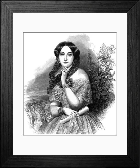 Framed Print : Jettyn Treffz - ILN 1850 Framed Print : Jettyn Treffz - ILN 1850