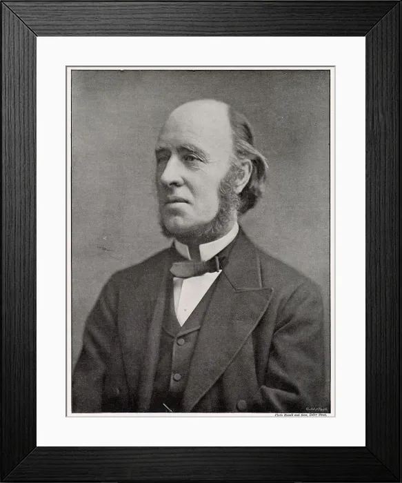 Framed Print : William Edward Hartpole Lecky (1838 - 1903), Historian and politician, Date: 1895