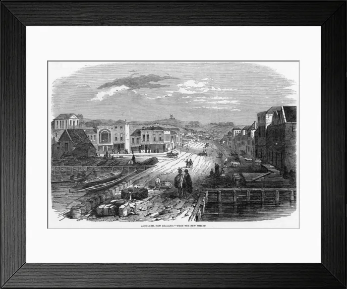 Framed Print : New Zealand Auckland Framed Print : New Zealand Auckland