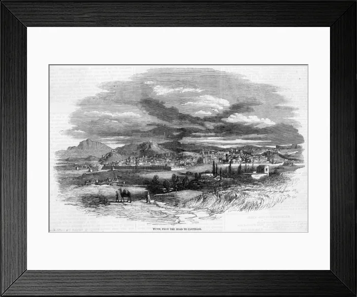 Framed Print : Tunisia Tunis Framed Print : Tunisia Tunis
