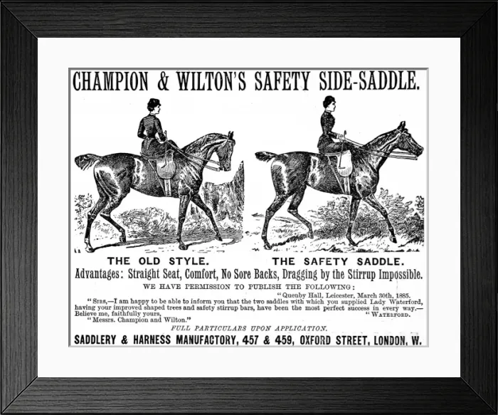 Framed Print : Safety saddle Framed Print : Safety saddle