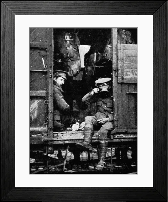 Framed Print : Snatching a meal Framed Print : Snatching a meal