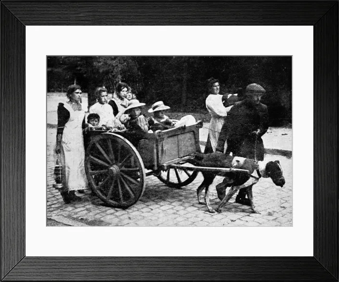 Framed Print : Belgian peasant refugees