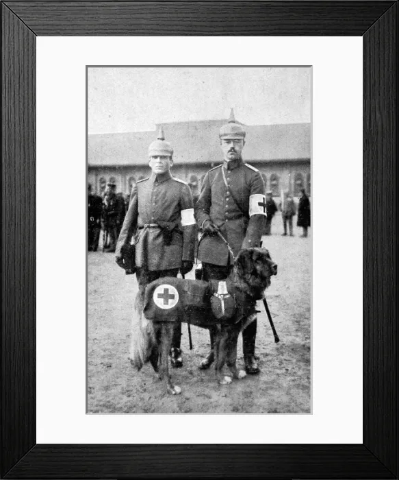 Framed Print : The Dog in War