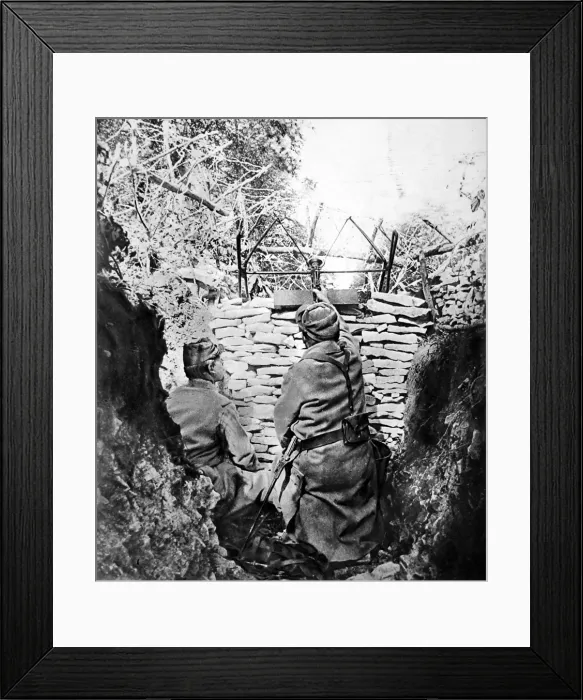 Framed Print : The Grasshopper Framed Print : The Grasshopper