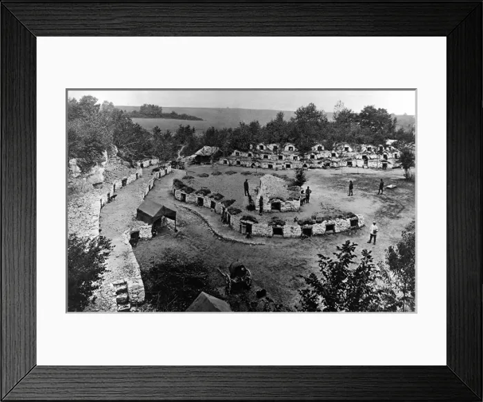 Framed Print : Canine camp Framed Print : Canine camp