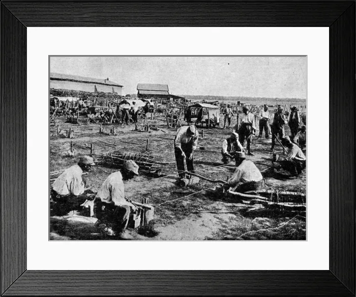 Framed Print : Making barbed wire entanglements Framed Print : Making barbed wire entanglements