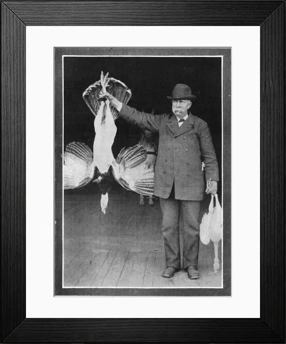 Framed Print : Mr. Roosevelts Turkey Framed Print : Mr. Roosevelts Turkey