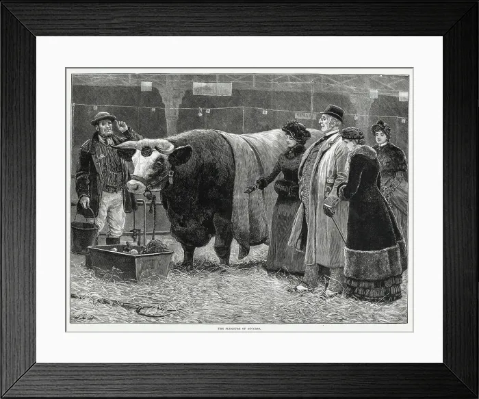 Framed Print : A small group at Smithfield's Market looking at beef cattle. Meat had been traded on the site of Smithfield's for over 800 years, but the present building was opened in 1868 Framed Print : A small group at Smithfield's Market looking at beef cattle. Meat had been traded on the site of Smithfield's for over 800 years, but the present building was opened in 1868