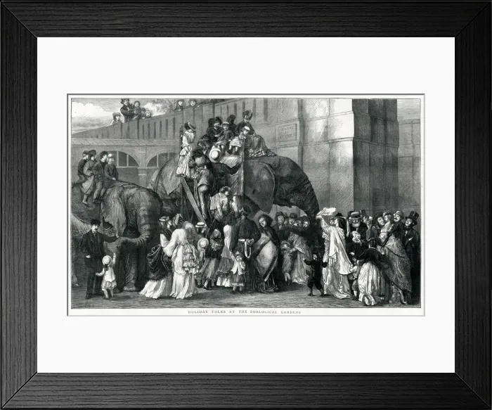Framed Print : London Zoo Framed Print : London Zoo
