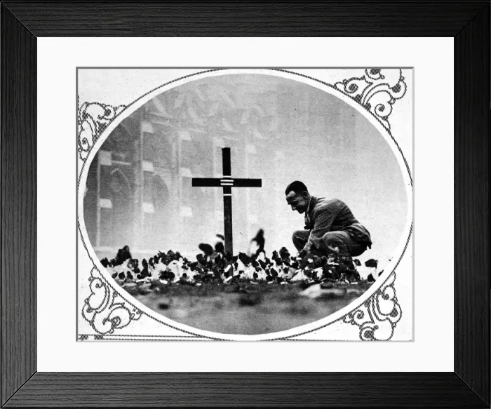 Framed Print : Planting a poppy at the garden of remembrance Framed Print : Planting a poppy at the garden of remembrance