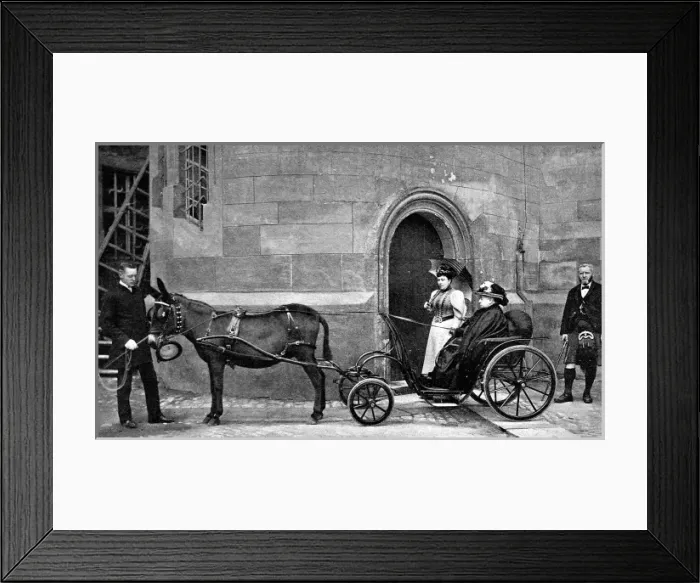 Framed Print : Queen Victoria driving donkey-carriage Framed Print : Queen Victoria driving donkey-carriage