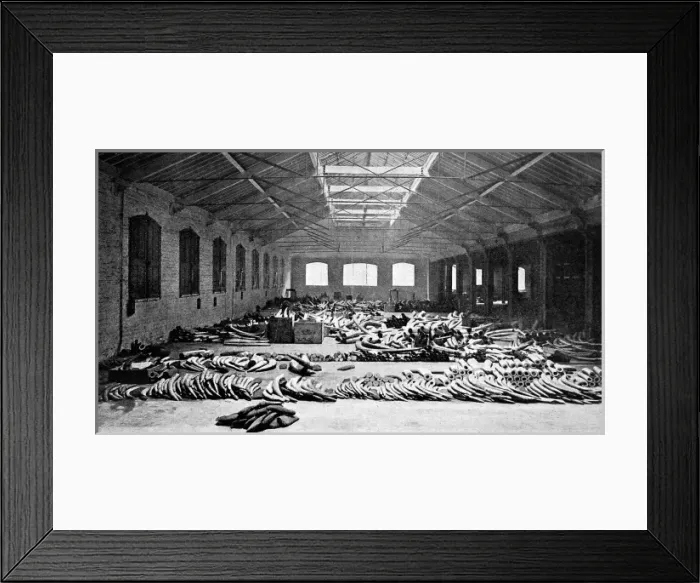 Framed Print : Ivory floor at London Docks Framed Print : Ivory floor at London Docks