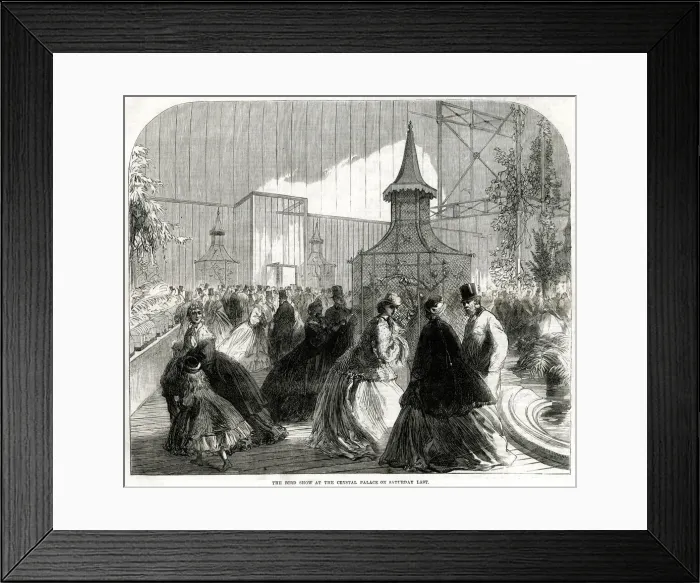 Framed Print : Bird show, Crystal Palace 1865 Framed Print : Bird show, Crystal Palace 1865