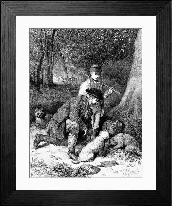 Framed Print : Truffle hunting Framed Print : Truffle hunting